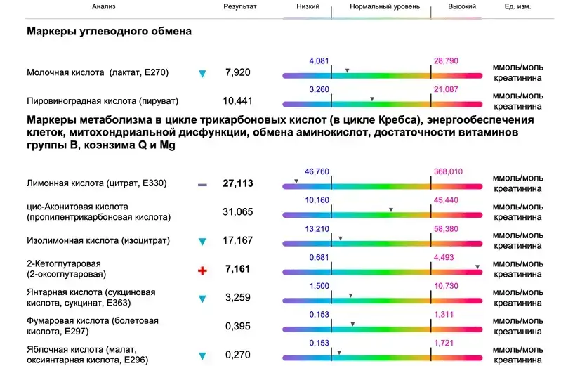 Пример страницы метаболомного анализа с маркерами углеводного обмена и цикла Кребса